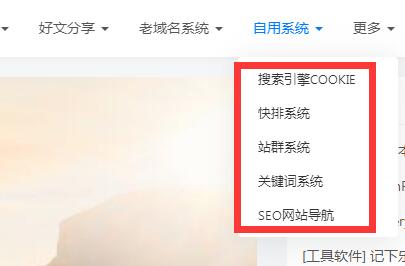 站群技术流程化具体操作步骤（站群的具体流程）